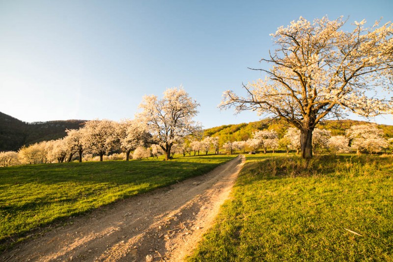 Slovensko