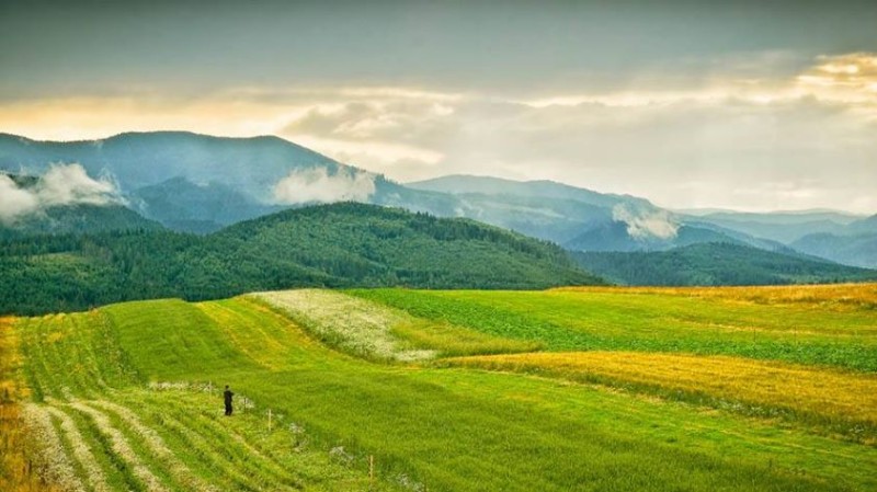 Slovensko