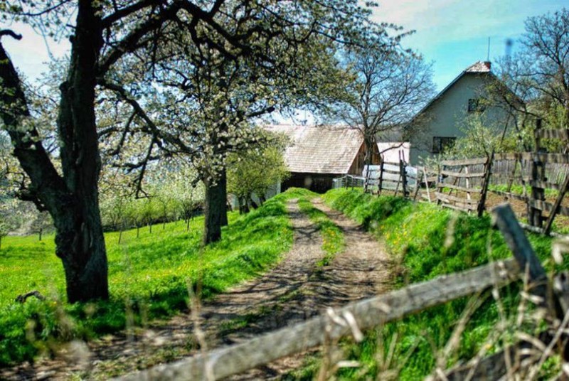 Slovensko
