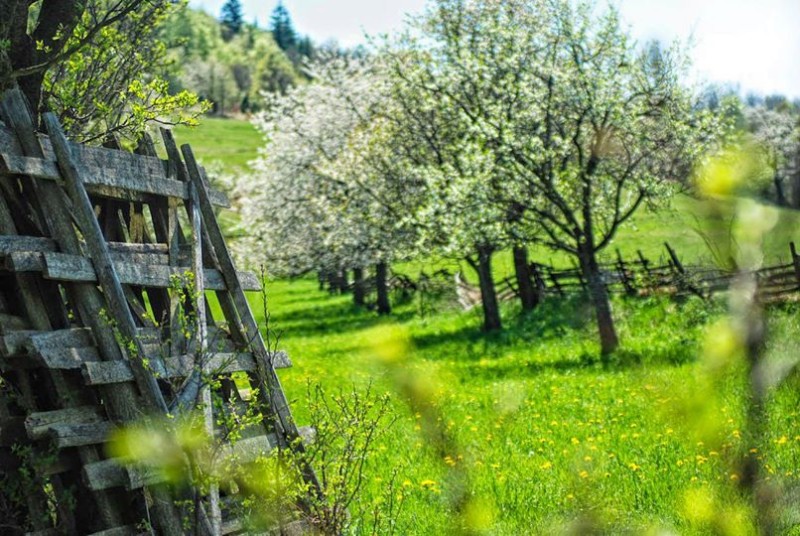 Slovensko