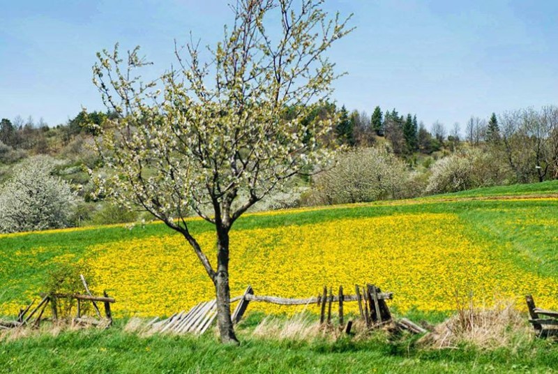 Slovensko