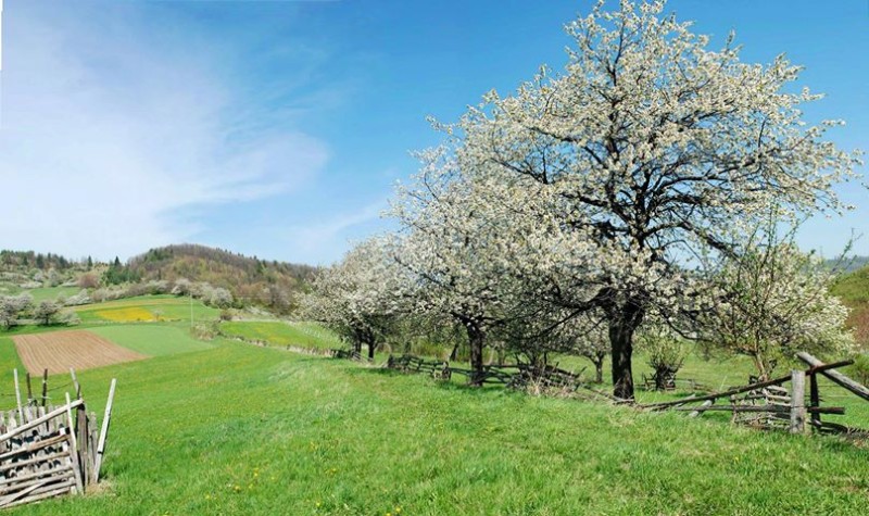Slovensko