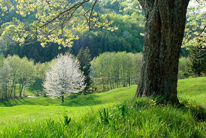 Slovensko