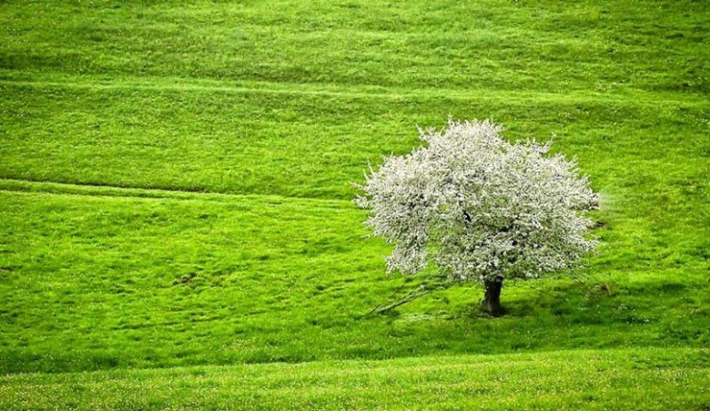 Slovensko