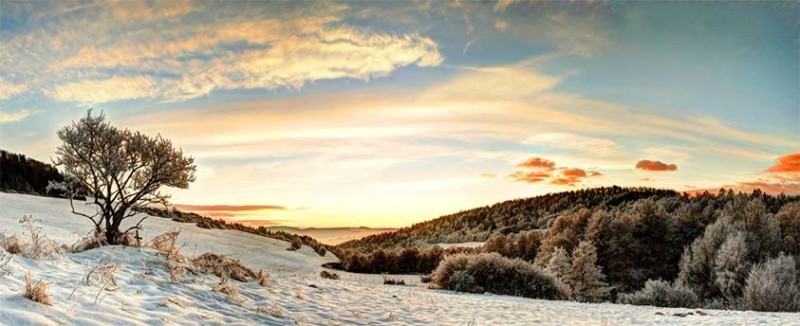 Slovensko