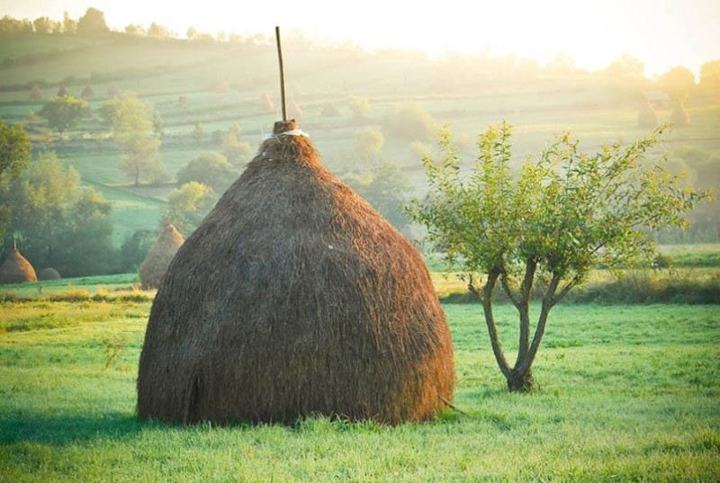 Slovensko