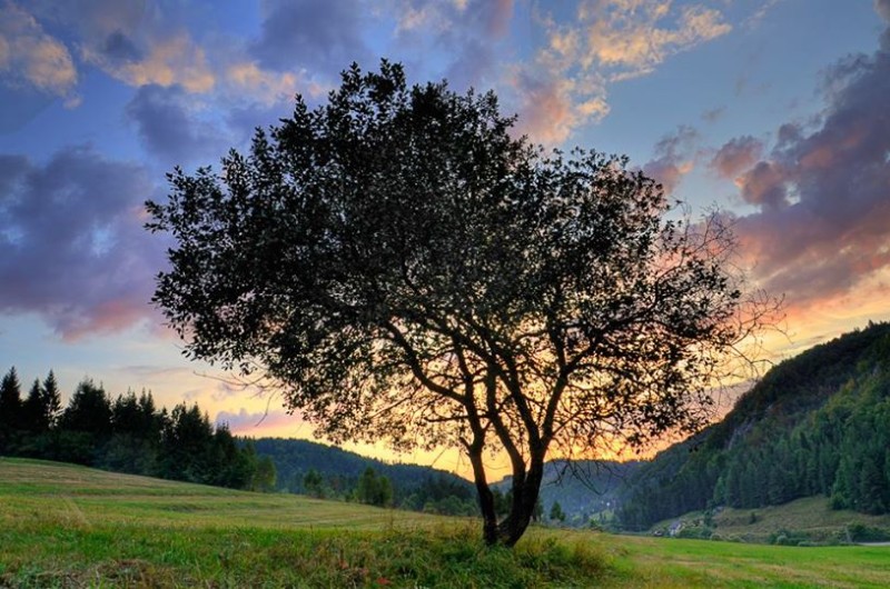 Slovensko