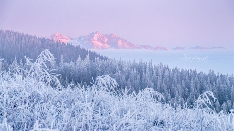 Slovensko