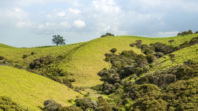 Nový Zeland