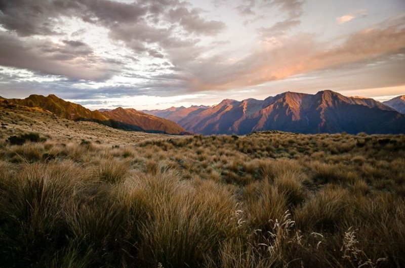 Nový Zeland
