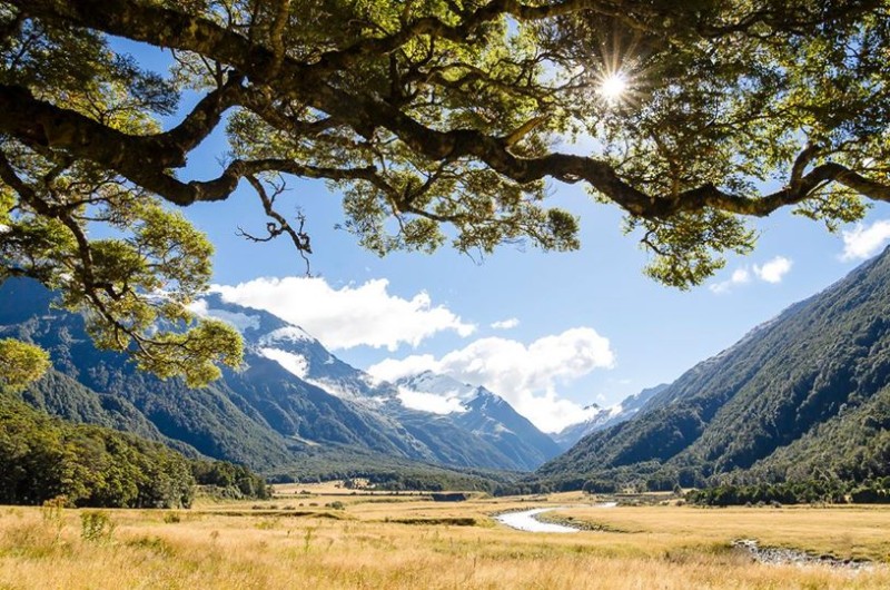 Nový Zeland