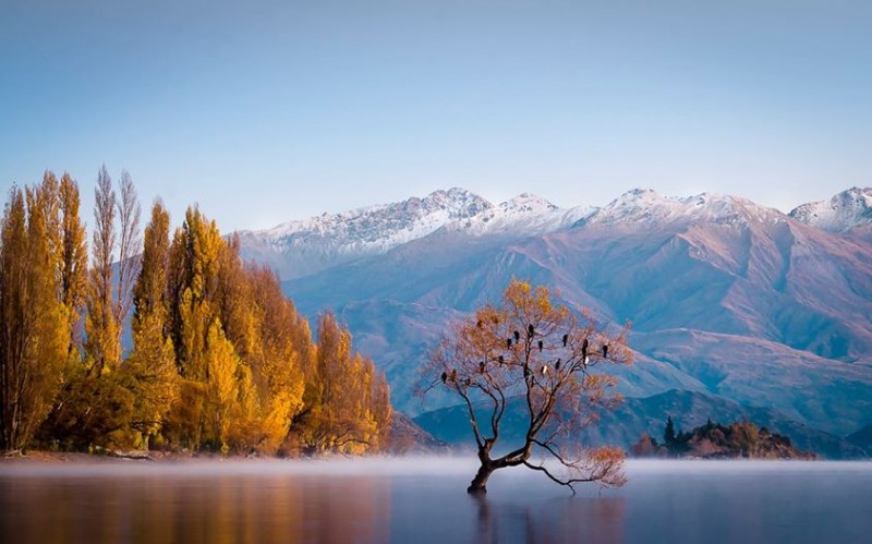 Krajina