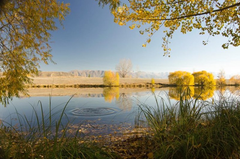 Nový Zeland